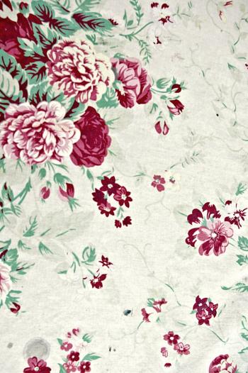 flower texture by bloodymarie-stock on DeviantArt