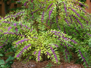 Blog » Rutgers Landscape & Nursery | Just another WordPress site ...