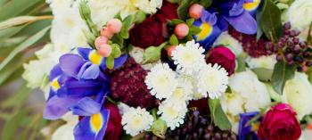Orlando Florist | Flower Delivery by Edgewood Flowers