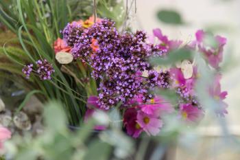 New Ann Arbor co-op adds flowers to the “buy local” movement ...