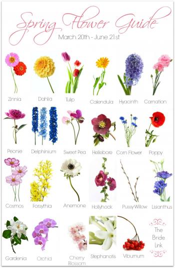 Spring Wedding Flower Guide | Spring wedding flowers, Spring ...