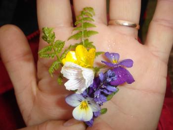 Flowers in a hand