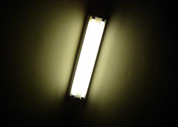 Fluorescent lamp