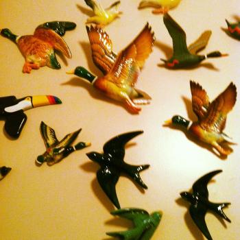 flying ducks | Retro flying ducks | Pinterest