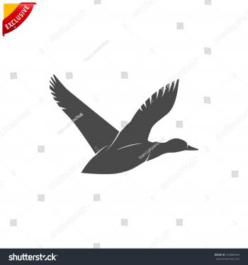 Flying Ducks Icon Vector Duck Silhouette Stock Vector 410886553 ...