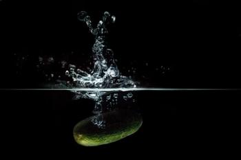 Focus Photo of Green Vegetable Dropped on Water