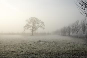 Fog and Frost