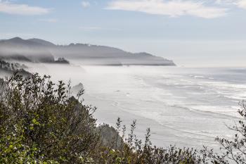 Fog on Coastline, Oregon