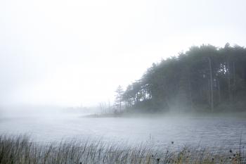 Fog on lake, Oregon