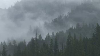 Misty Forest Ridges Stock Video Footage - Videoblocks