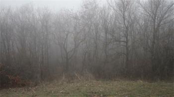 Scary Hill Foggy Forest in Winter Stock Video Footage - Videoblocks