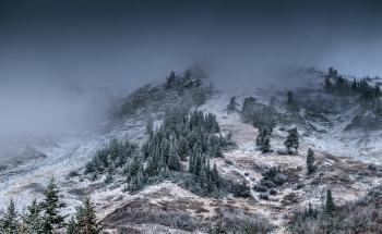 Foggy Mountain With Pine Trees