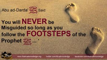 Follow the footsteps | True Knowledge of Islam, Muslims, Quran ...