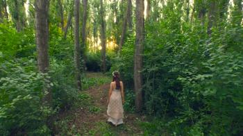 Beautiful Young Fairy Tale Princess Walking Down Enchanted Forest At ...