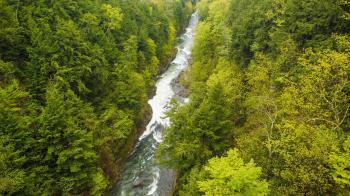 Eastern Forests | Audubon