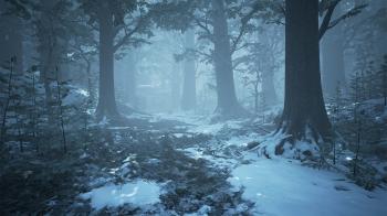 ArtStation - UE4 Winter Forest, Willi Hammes