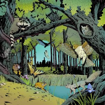 Forest Illustration – Mended Arrow