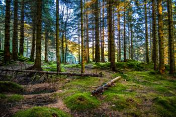This Is Yet Another Reason To Fall In Love With Bergen In Norway ...