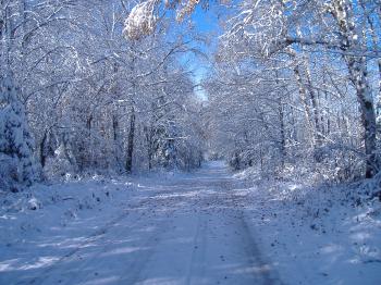 Superior National Forest - Scenic Driving