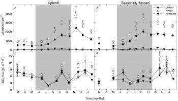 Forests | Free Full-Text | Interactions between Vegetation ...