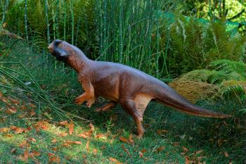Color of 'cute' bristly dinosaur deciphered | The Japan Times