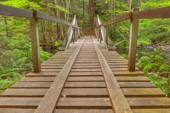 Forest Track Bridge - HDR