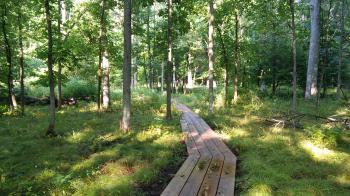 eBird Hotspots - US-MI-Forestview Natural Area