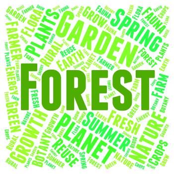 Forest Word Means Trees Copice And Park