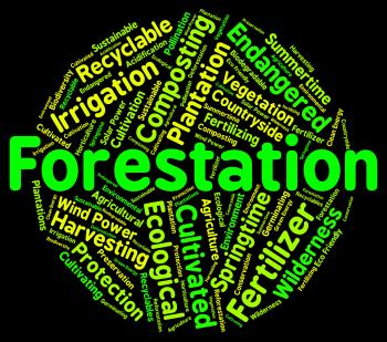 Forestation Word Shows Woodlands Woods And Trees
