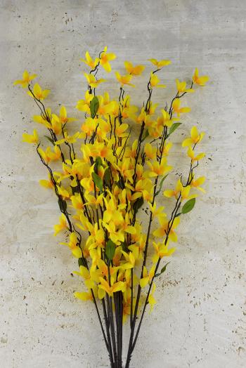 Forsythia Bush Yellow 27in