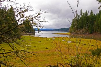 Foster Lake, Oregon, Tributary end