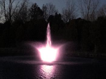 2hp WaterSmith PRO Fountain