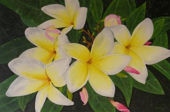 Plumeria Oil Painting Flower Painting Frangipani Flowers