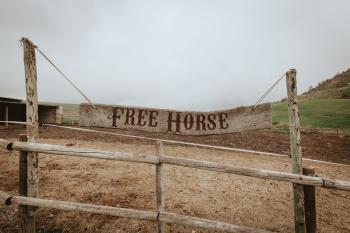 free horse