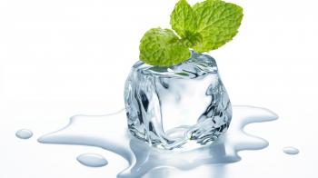 A mint on the ice cube - Fresh HD wallpaper - Wallpapersfans.com