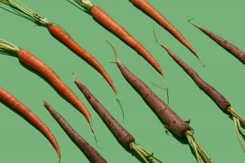 7 Vegetables That Stay Fresh for Months | Time