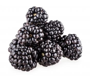 Fresh blackberry isolated on white