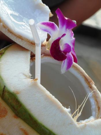 Fresh Coconut Drink on the Beach