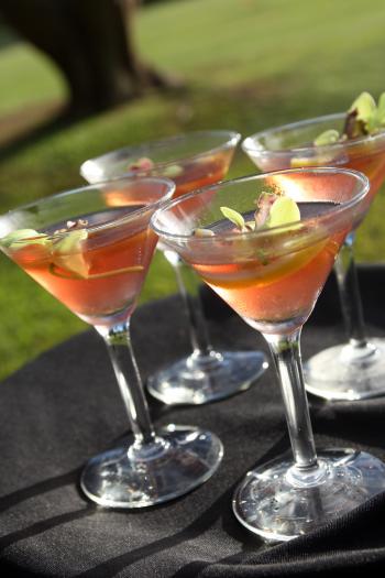 Ocean Vodka's Fresh Cosmo 1.5 oz Ocean Vodka 1oz cranberry cocktail ...