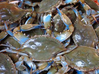 Wiso's Crabs: 2017 New Menu