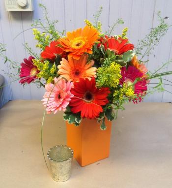 Fresh as a Daisy in Hudson, WI | Hudson Flower Shop