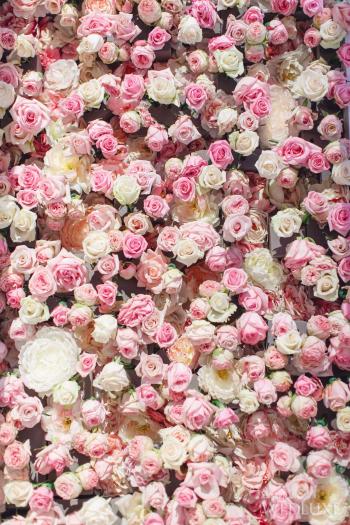 Wall Pictures with Flowers Fresh Flower Wall Places to Visit ...