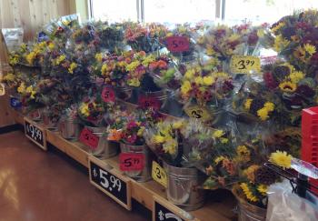 Trader Joe's - Fresh Flowers - Jacksonville Restaurant Reviews