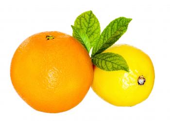fresh lemon and orange