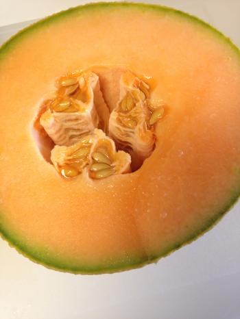 Agua fresca del melón -Fresh Melon Drink | Roz's Scrumptious Recipes