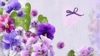 Pansies Tag wallpapers: Pansies Flowers Tulips Nature Flower Hd ...
