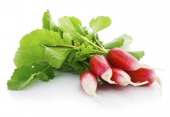 WARM RADISH TOASTS | Edible Rhody