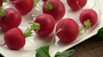 Fresh radish on white plate. Freshly harvested organic vegetables ...