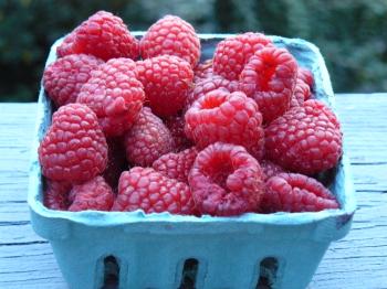 Ghirardelli's Award-Winning Brownies With Fresh Raspberries ...