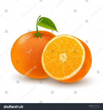 Fresh Ripe Orange Tangerine Whole Leaf Stock Vector HD (Royalty Free ...